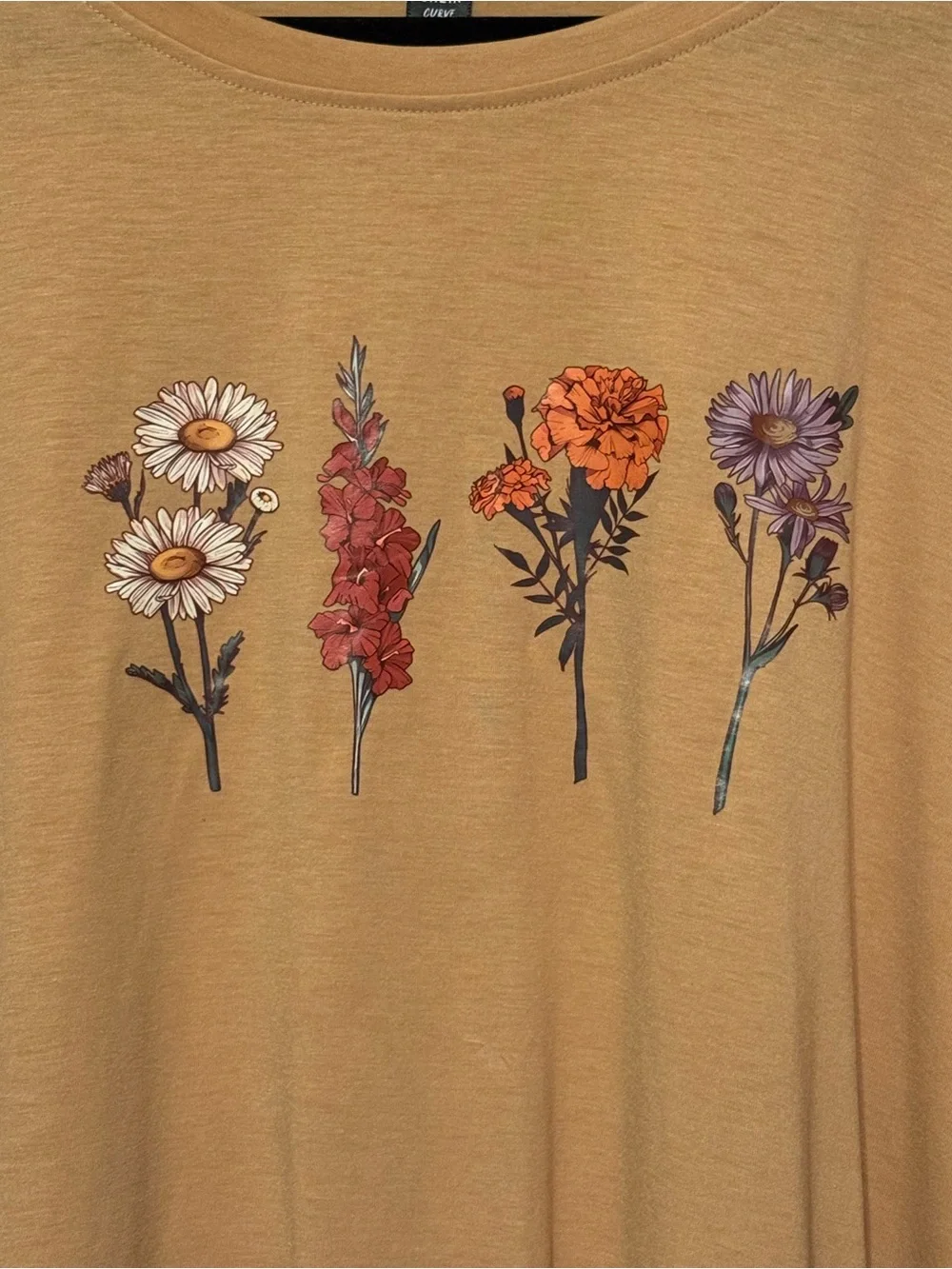 Women’s Plus Size Floral Cottagecore T Shirt Dress Size 4XL